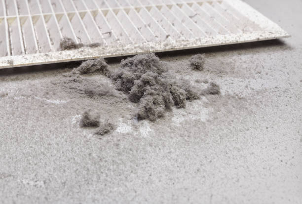 Best Duct Cleaning for Homes  in Hollywood, SC