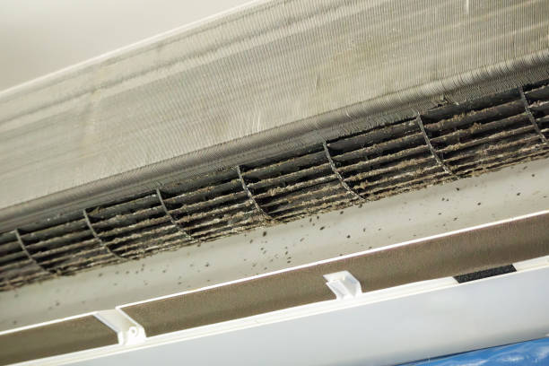 Best Dryer Vent Cleaning Services  in Hollywood, SC